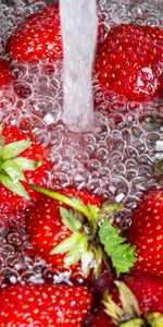 Water,Food,Berry,Fruit,Strawberry,Bubbles