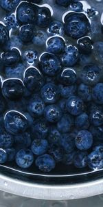 Blueberry,Myrtilles,Assiette,Plaque,Baies,Eau,Nourriture