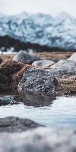 Naturaleza,Agua,Hierba,Stones