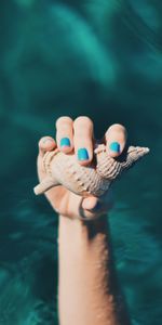 Water,Hand,Miscellanea,Miscellaneous,Fingers,Shell