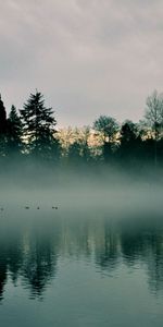 Naturaleza,Agua,Lago,Niebla,Superficie