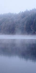 Lago,Bosque,Niebla,Casa,Naturaleza,Agua