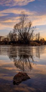 Agua,Crepúsculo,Lago,Madera,Naturaleza,Árbol,Oscuridad,Reflexión