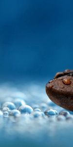 Water,Macro,Humid,Drops,Wet,Coffee Beans,Liquid