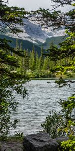 Naturaleza,Agua,Montañas,Lago,Sucursales,Ramas,Stones