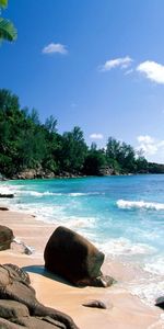 Palms,Mer,Eau,Paysage,Plage