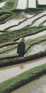 Water,Person,Hat,Rice Fields,Miscellaneous,Human,Miscellanea,Fields