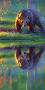 Water,Reflection,Bear,Brown,Art