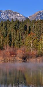 Water,Reflection,Nature,Trees,Mountains,Forest