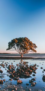 Agua,Orilla,Banco,Madera,Naturaleza,Stones,Reflexión,Árbol