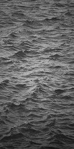 Water,Ripple,Ripples,Bw,Nature,Waves,Chb