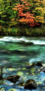 Water,Rivers,Flow,Colors,Color,Moss,Stream,Creek,Brook,Nature,Stones,Transparent,Forest