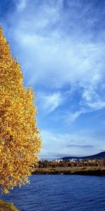 Water,Rivers,Leaves,Shore,Bank,Siberia,Birch,Nature,Autumn