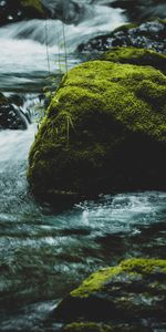 Water,Rivers,Rock,Flow,Moss,Stream,Nature,Stone