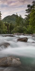 Nature,Noyaux,Montagnes,Eau,Rivières,Forêt,Couler,Ruisseau