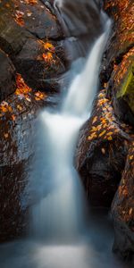 Water,Rivers,Stones,Nature,Waterfall,Leaves