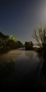 Naturaleza,Agua,Ríos,Árboles,Brillar,Oscuridad,Noche,Luz,Luna