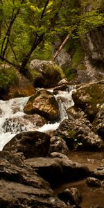 Water,Rivers,Trees,Rocks,Creek,Brook,Nature,Stones