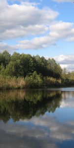 Деревья,Небо,Вода,Река,Пейзаж