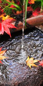 Automne,Un Rocher,Nature,Jet,Eau,Feuilles,Pierre