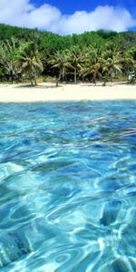 Agua,Árboles,Paisaje,Mar,Playa