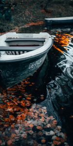 Water,Shore,Bank,Miscellanea,Miscellaneous,Boat,Waves,Foliage