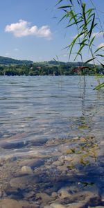 Water,Stones,Lakes,Landscape