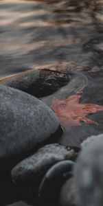 Water,Stones,Macro,Leaflet