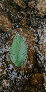 Agua,Stones,Macro,Hoja,Fluir,Sábana,Flujo