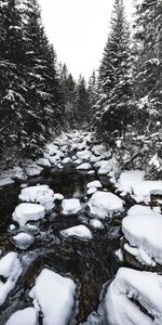 Water,Stones,Snow,Winter,Nature,Rivers,Trees