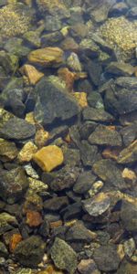 Naturaleza,Agua,Stones,Transparente,Punta De Lanza,Punzada