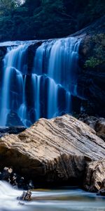 Noyaux,Branches,Nature,Eau,Cascade