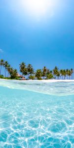 Water,Sun,Nature,Sea,Palms,Wave,Beach