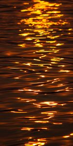 Water,Sunset,Ripple,Ripples,Nature,Glare