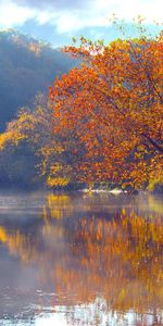 Automne,Eau,Arbres,Paysage,Lacs