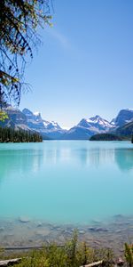 Water,Trees,Lake,Nature,Mountains