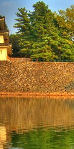 Water,Trees,Landscape