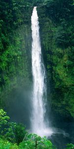 Water,Trees,Landscape,Waterfalls