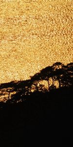 Water,Trees,Nature,Shine,Brilliance