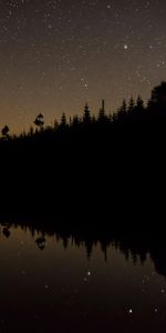 Water,Trees,Reflection,Dark,Starry Sky,Night