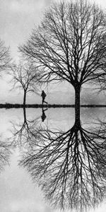 Water,Trees,Reflection,Miscellanea,Bw,Silhouette,Miscellaneous,Chb