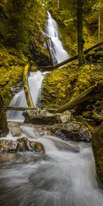 Eau,Arbres,Rocheux,Rocher,Nature,Cascade,Couler,Ruisseau