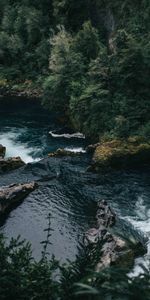 Water,Trees,Rocks,Flow,Nature