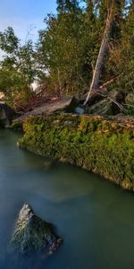 Water,Trees,Rocks,Shore,Bank,Moss,Nature