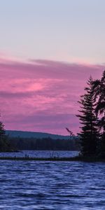 Water,Trees,Sky,Lake,Spruce,Fir,Nature