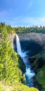 Water,Trees,Sky,Rock,Waterfall,Fir,Spruce,Nature