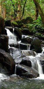 Water,Trees,Stones,Waterfall,Streams,Flows,Nature,Forest,Trunks