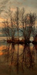 Water,Trees,Sunset,Lake,Reflection,Nature,Lilac