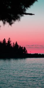 Water,Trees,Sunset,Outlines,Nature,Night