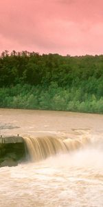 Cumberland Falls,Кентукки,Вода,Лес,Природа,Деревья,Водопад